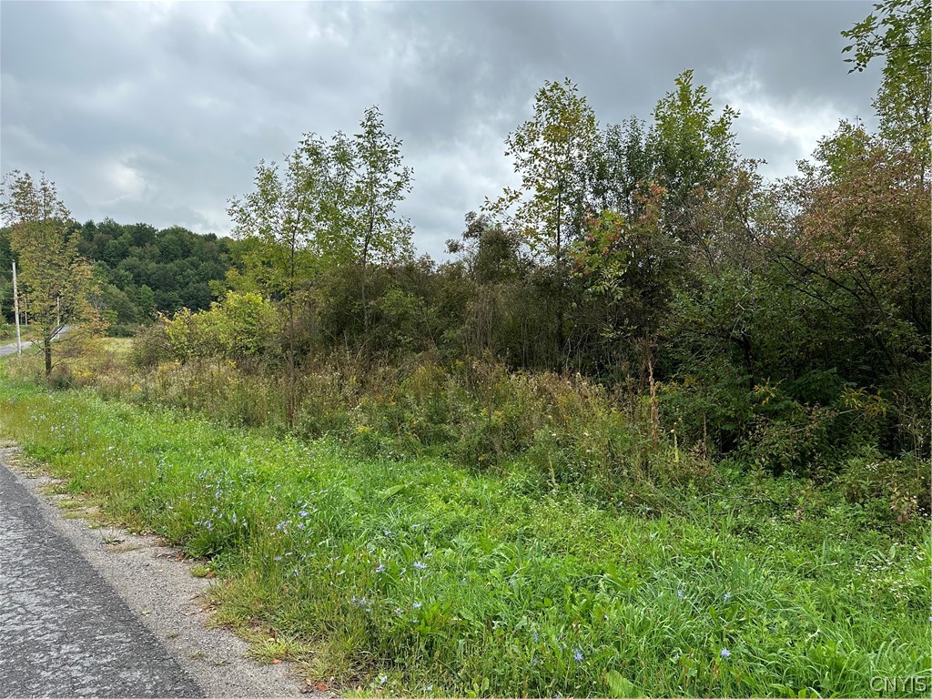 22 County Route Philadelphia, NY 13673 - Photo 8 of 15