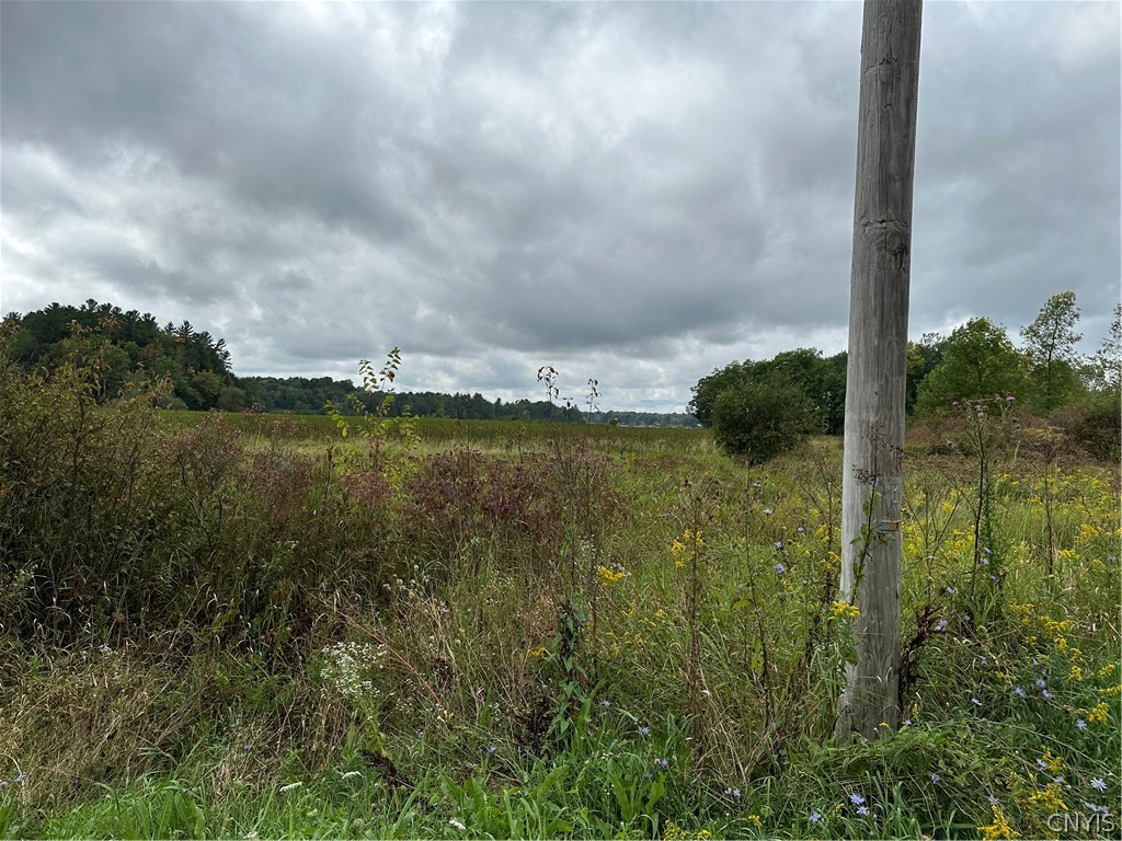 22 County Route Philadelphia, NY 13673 - Photo 9 of 15