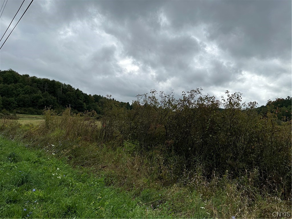 22 County Route Philadelphia, NY 13673 - Photo 10 of 15