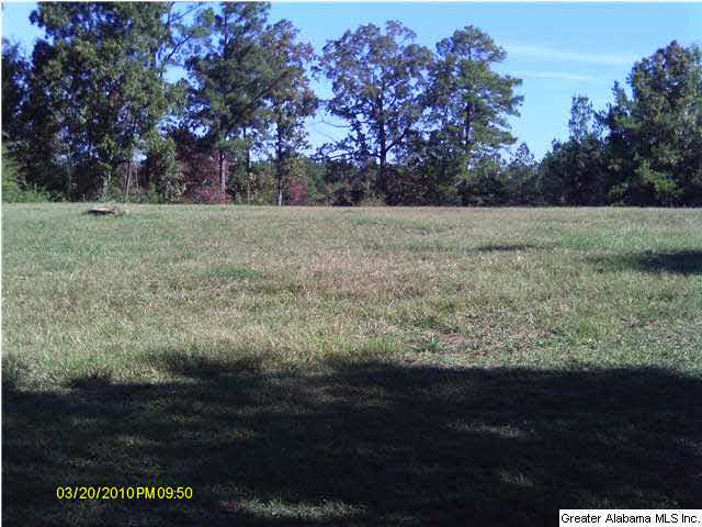 3795 Marvel Road Brierfield, AL 35035 - Photo 11 of 12