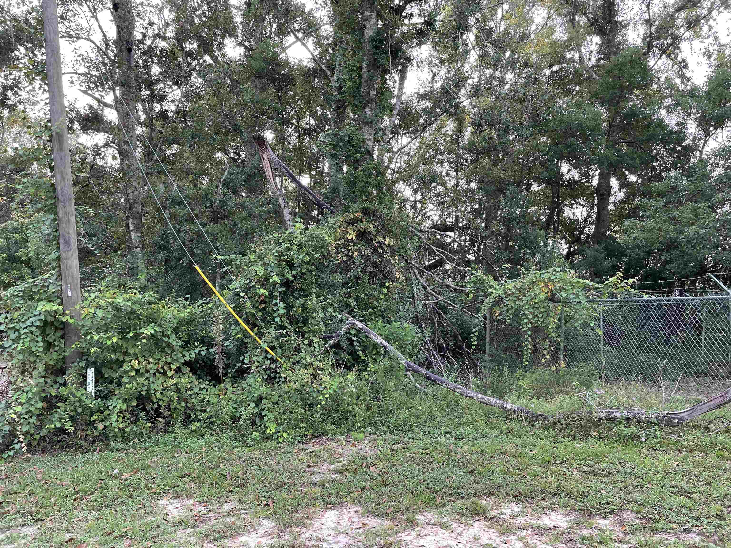 0 Victoria Street Elberta, AL 36530 - Photo 12 of 15