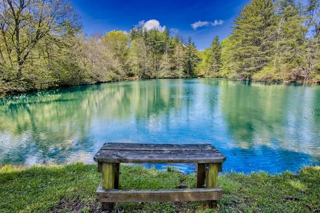 a view of a lake with a big yard