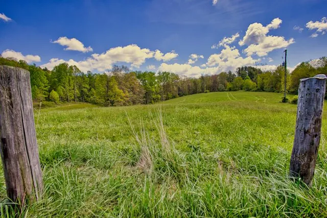 a flag is in the middle of a yard