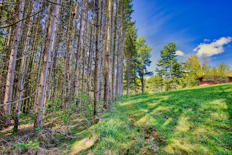 1436 Mayberry Church Road Meadows Of Dan, VA 24120 - Photo 38 of 38 a view of outdoor space and garden