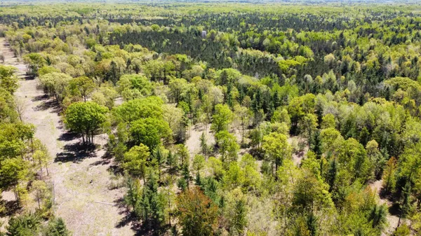 $199,000 | Red Apple Road, Manistee, MI 49660