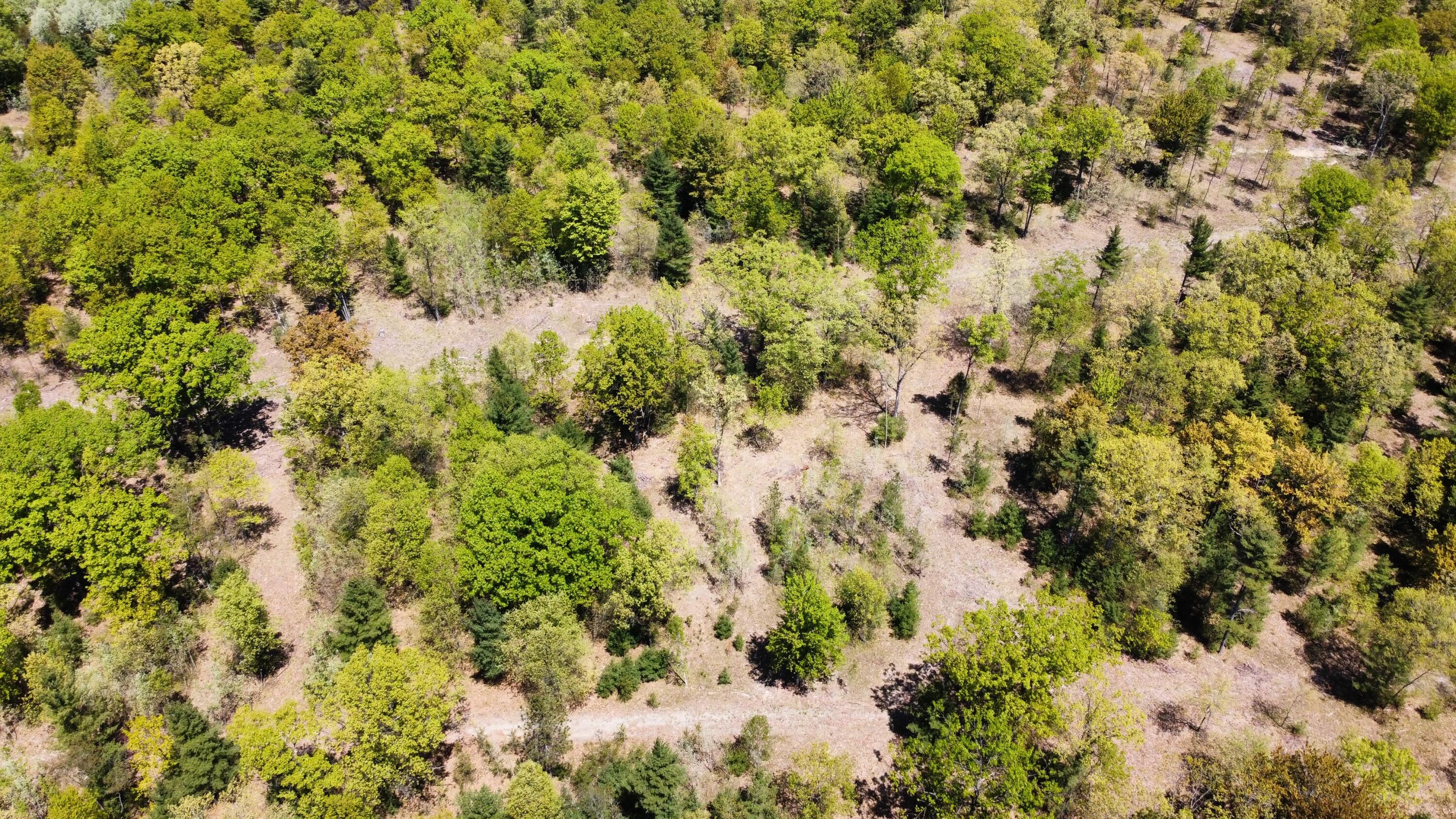 Red Apple Road Manistee, MI 49660 - Photo 11 of 18 dji_fly_20230526_131946_156_168512180311
