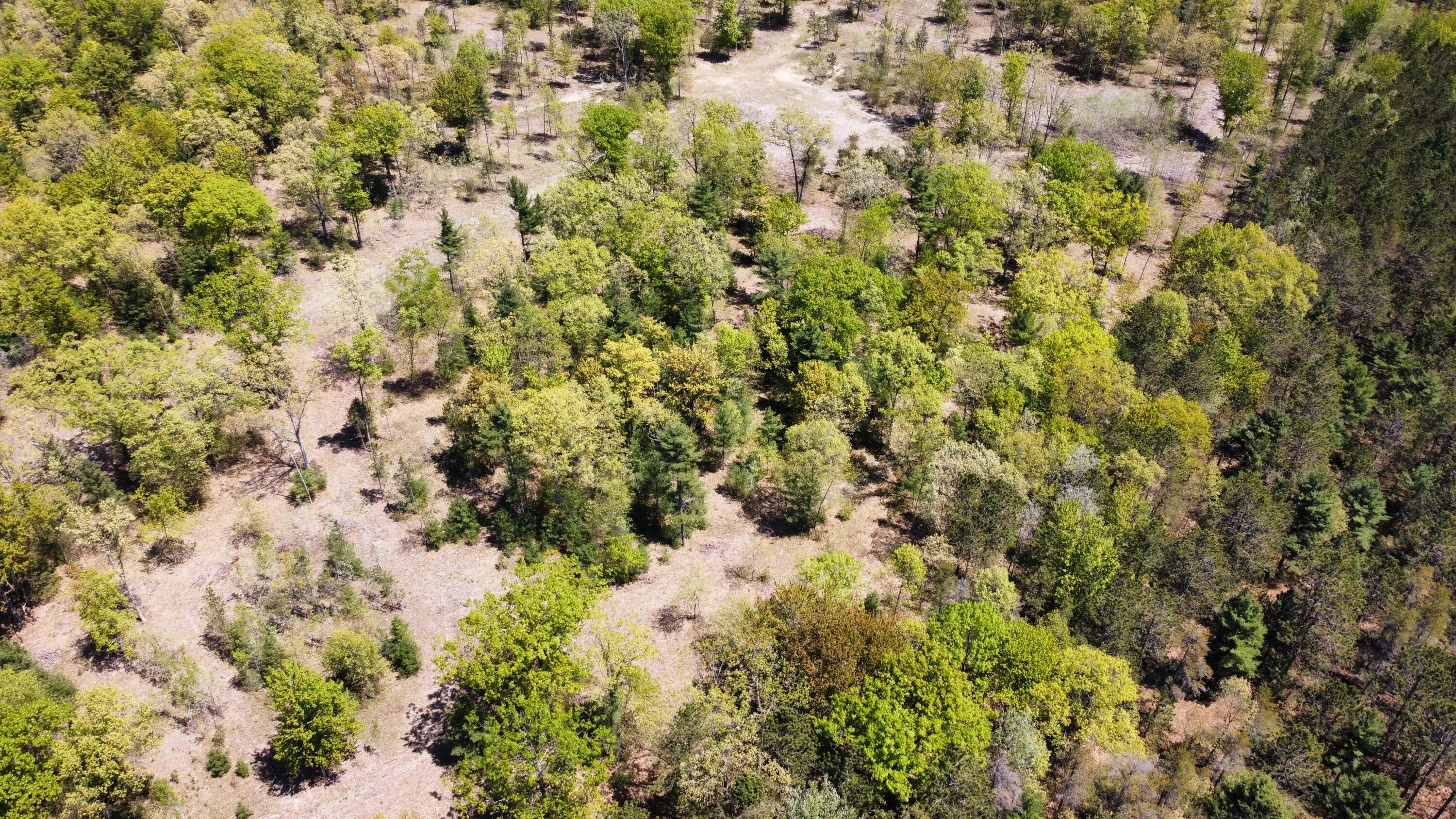 Red Apple Road Manistee, MI 49660 - Photo 12 of 18 dji_fly_20230526_131948_157_168512180188