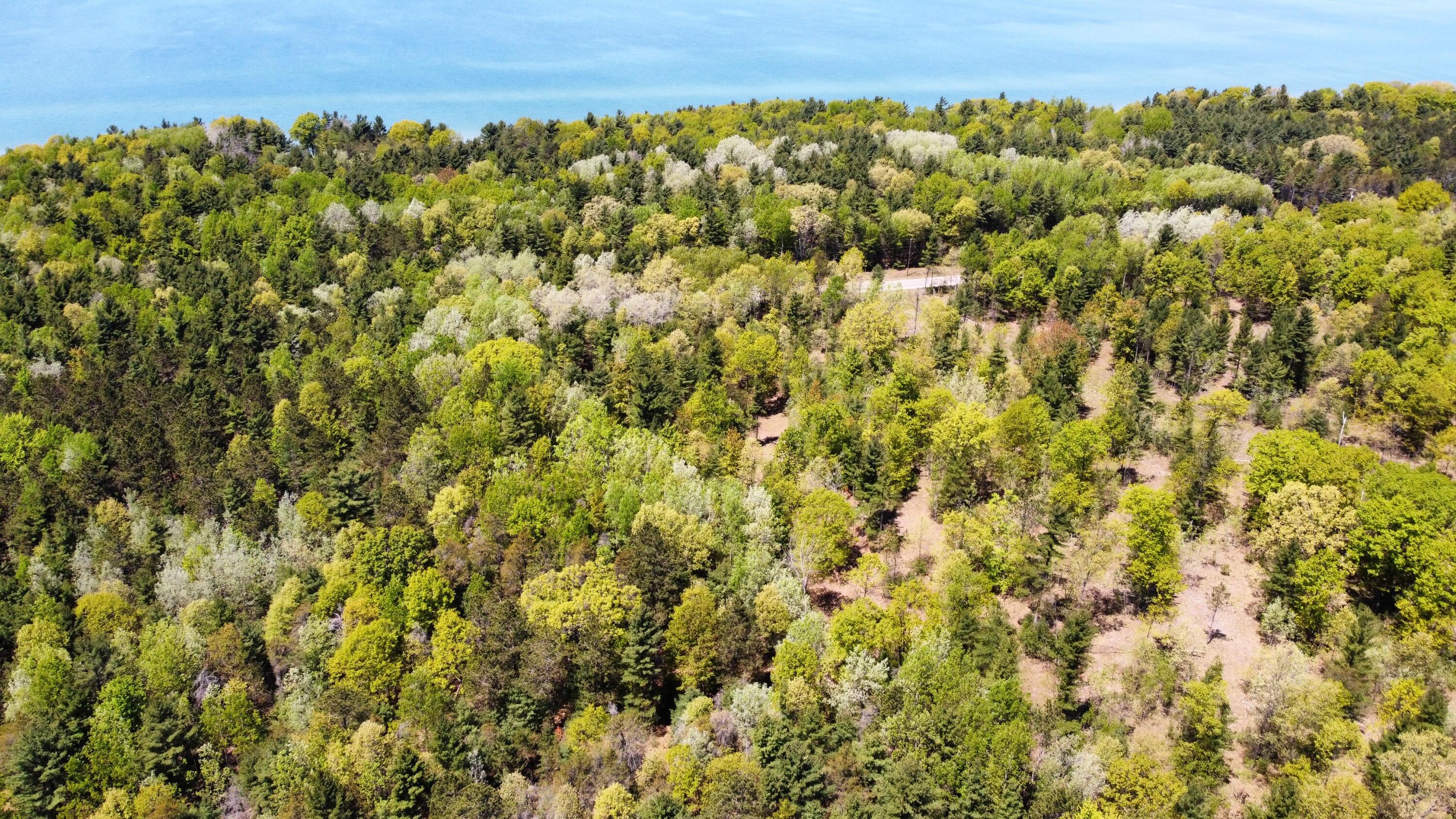 Red Apple Road Manistee, MI 49660 - Photo 13 of 18 dji_fly_20230526_132022_160_168512179880