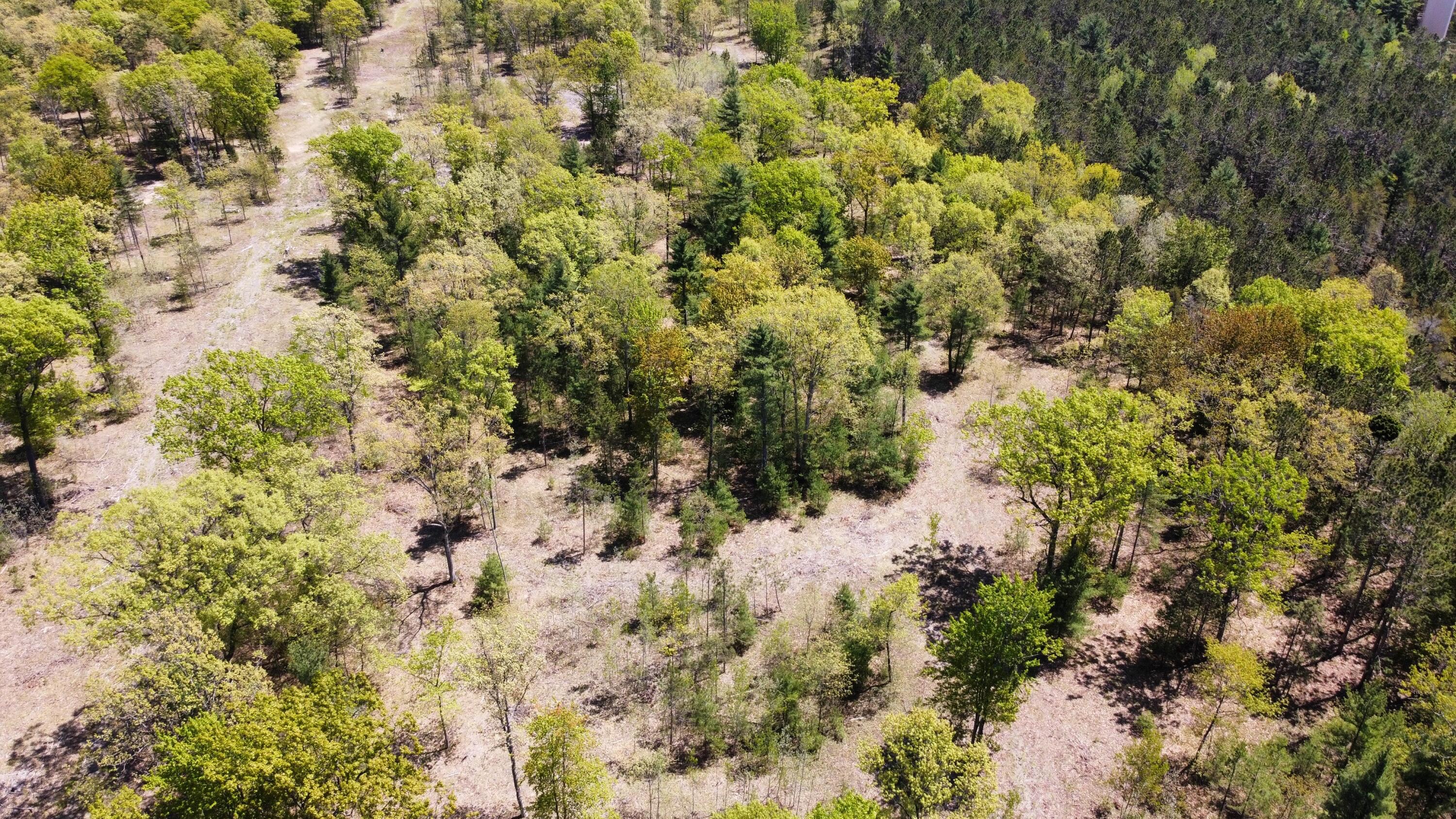 Red Apple Road Manistee, MI 49660 - Photo 14 of 18 Main