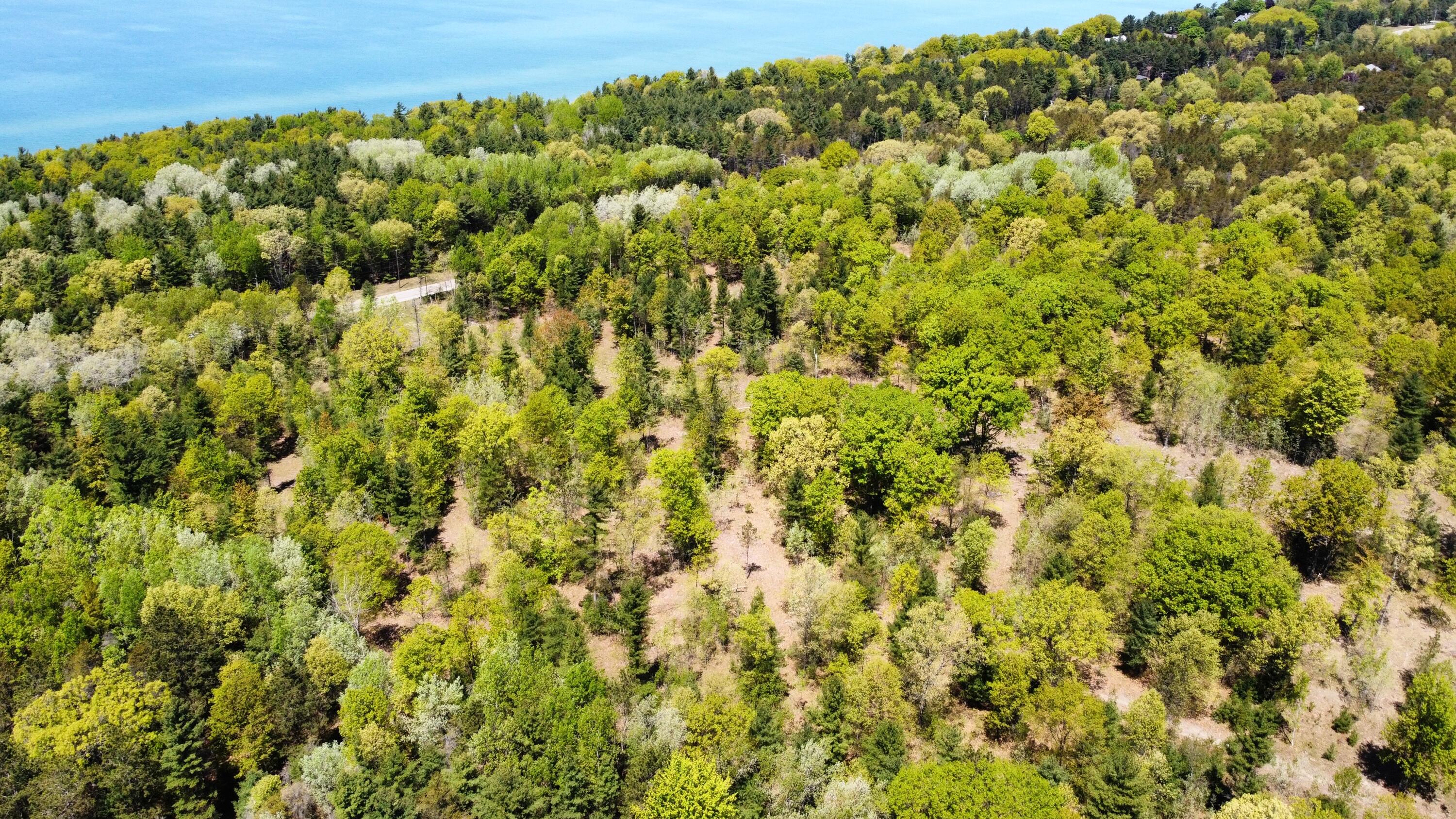 Red Apple Road Manistee, MI 49660 - Photo 15 of 18 dji_fly_20230526_132024_161_168512179775