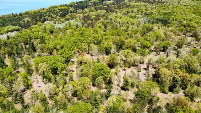 $199,000 | Red Apple Road, Manistee, MI 49660