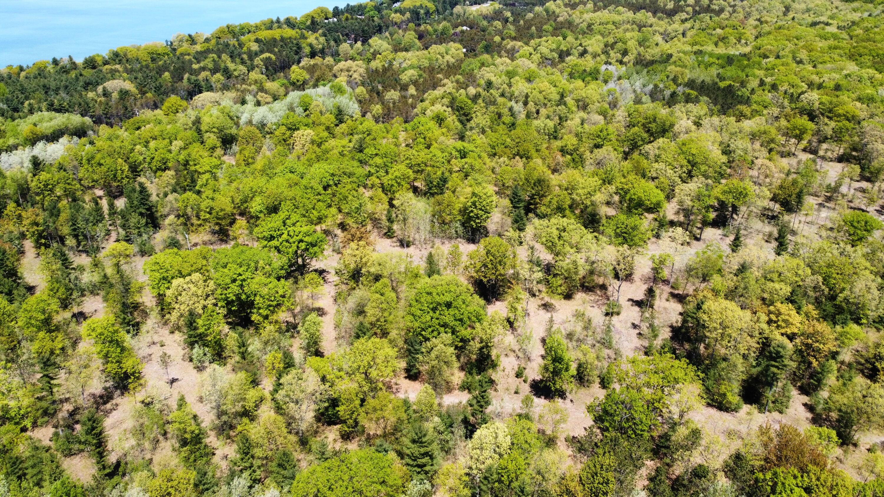 Red Apple Road Manistee, MI 49660 - Photo 16 of 18 dji_fly_20230526_132026_162_168512179676