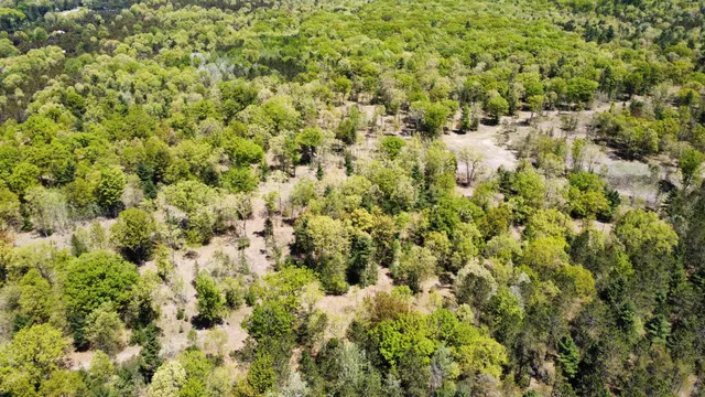 $199,000 | Red Apple Road, Manistee, MI 49660