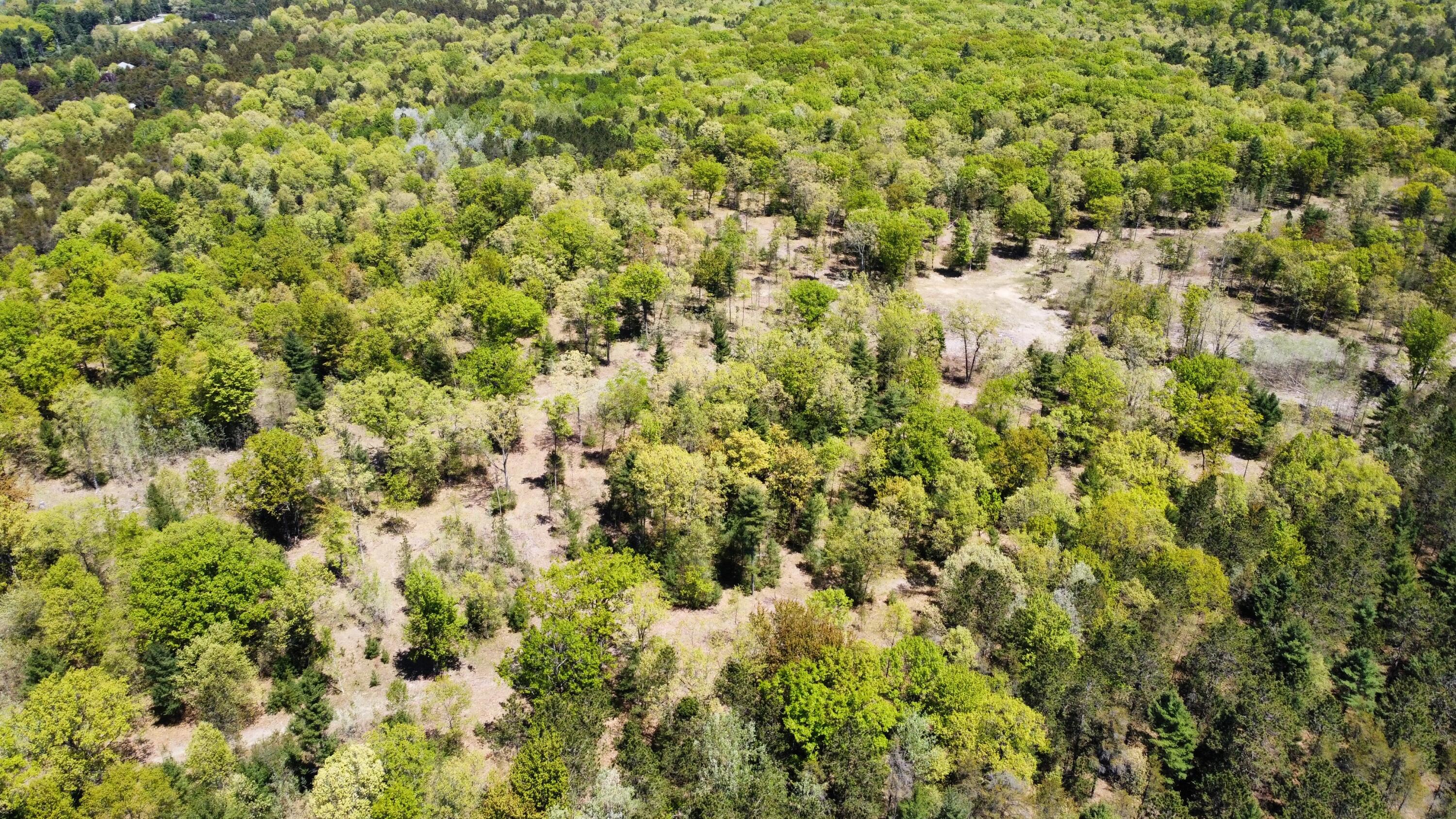 Red Apple Road Manistee, MI 49660 - Photo 17 of 18 dji_fly_20230526_132028_163_168512179578