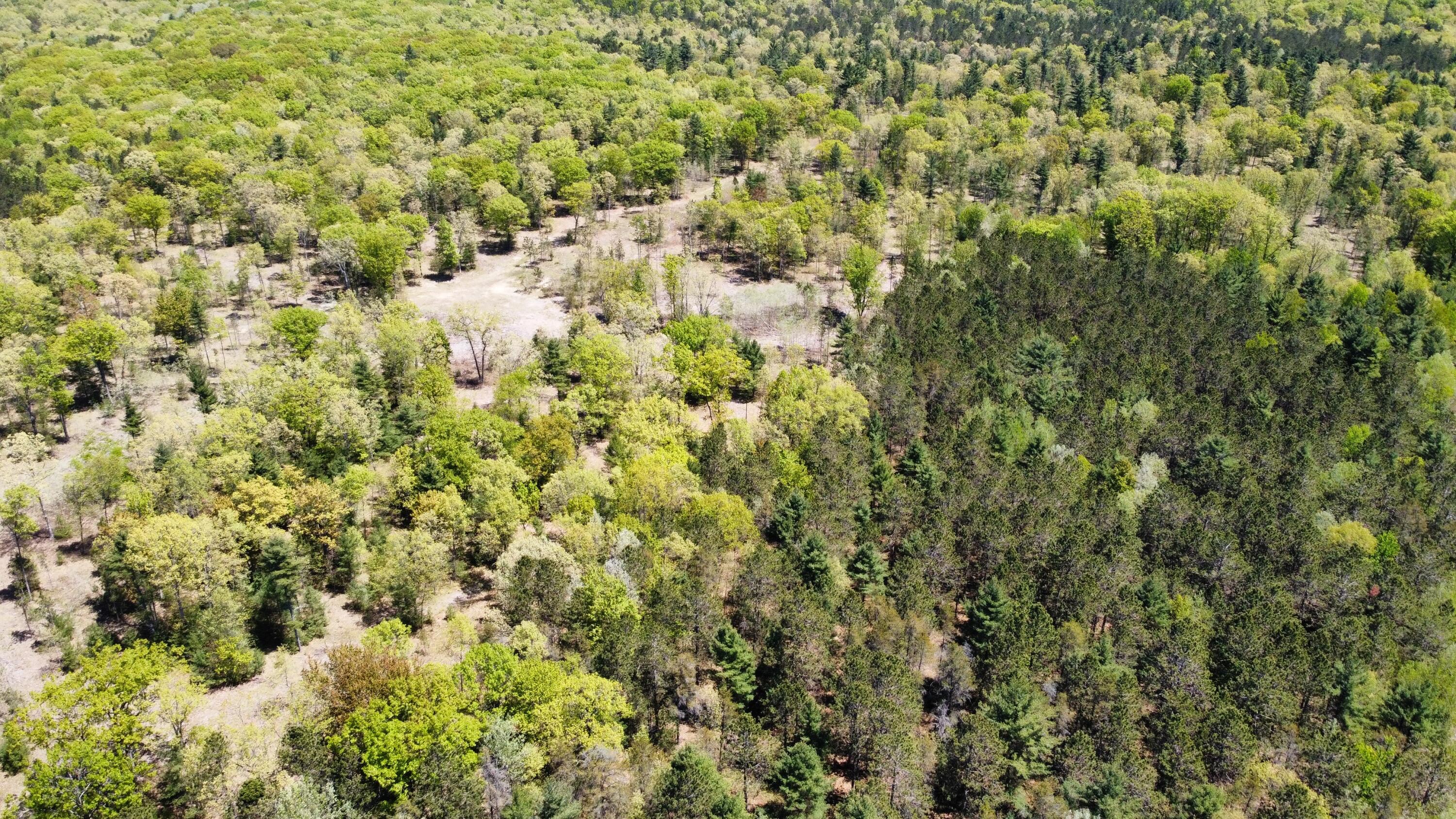 Red Apple Road Manistee, MI 49660 - Photo 18 of 18 dji_fly_20230526_132034_164_168512179479