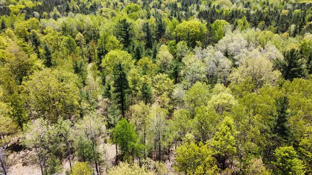 $199,000 | Red Apple Road, Manistee, MI 49660