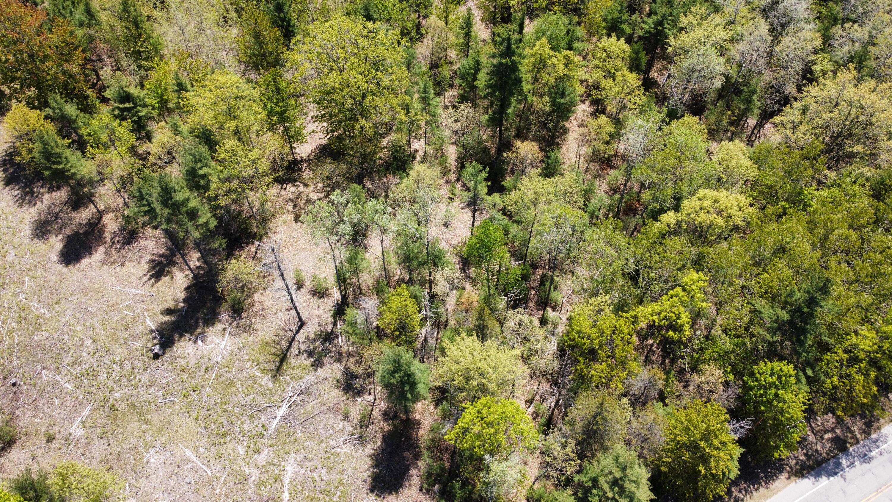 Red Apple Road Manistee, MI 49660 - Photo 5 of 18 dji_fly_20230526_131732_142_168512182089