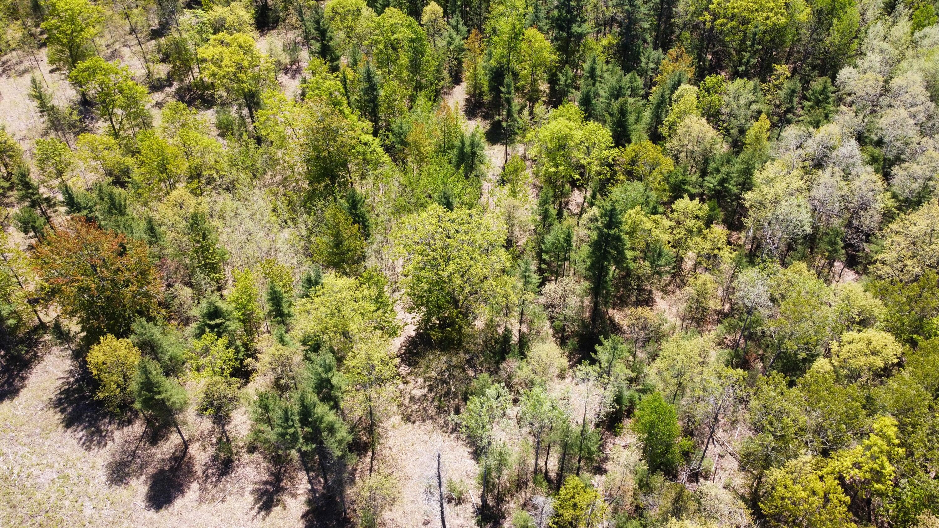 Red Apple Road Manistee, MI 49660 - Photo 6 of 18 dji_fly_20230526_131740_143_168512181973