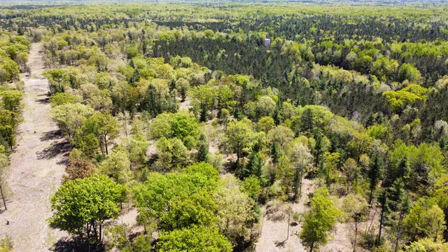 $199,000 | Red Apple Road, Manistee, MI 49660