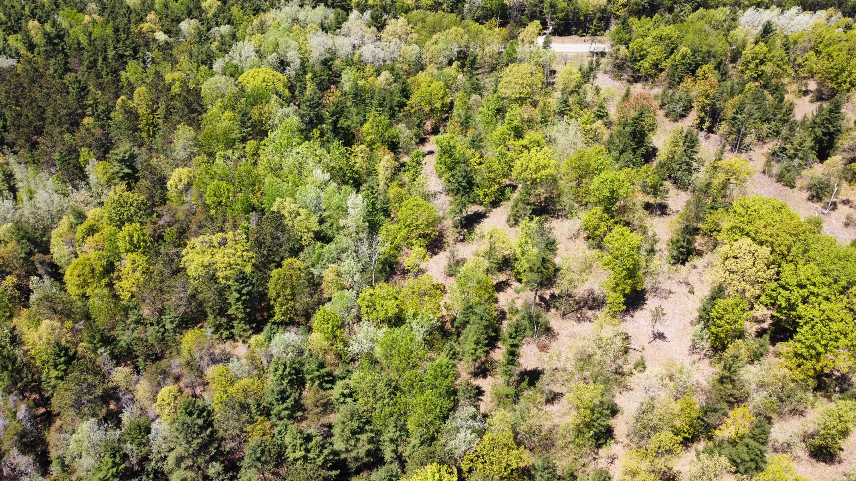 Red Apple Road Manistee, MI 49660 - Photo 10 of 18 dji_fly_20230526_131942_155_168512180430