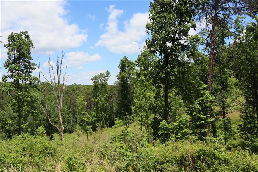 0 Parksbrook Road Ellijay, GA 30540 - Photo 29 of 67