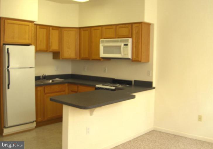 6109 Hunt Club Road Elkridge, MD 21075 - Photo 21 of 24 In-Law Suite