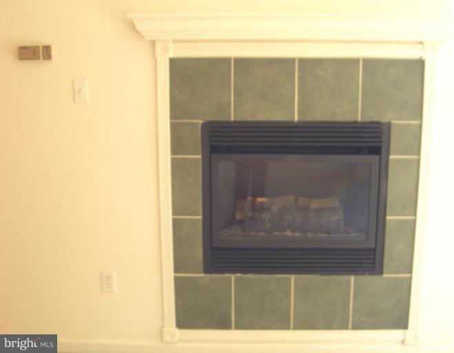 6109 Hunt Club Road Elkridge, MD 21075 - Photo 24 of 24 Fireplace