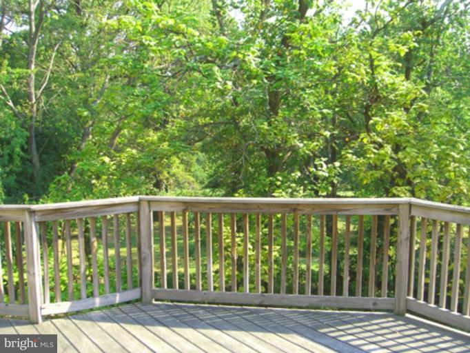 6109 Hunt Club Road Elkridge, MD 21075 - Photo 4 of 24 Private Deck and Yard
