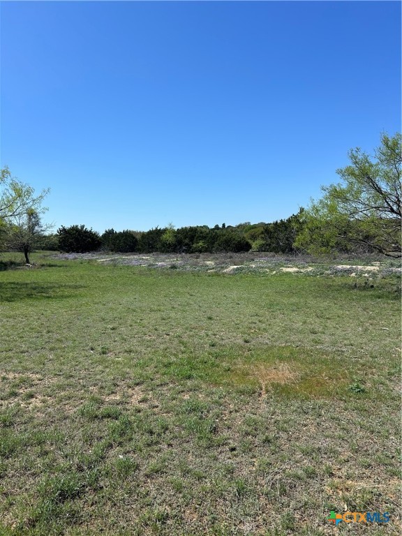 174 Cedar Bluff Loop Gatesville, TX 76528 - Photo 1 of 1