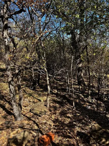 $50,000 | Tbd Northwest 9th Street, Mineral Wells, TX 25702