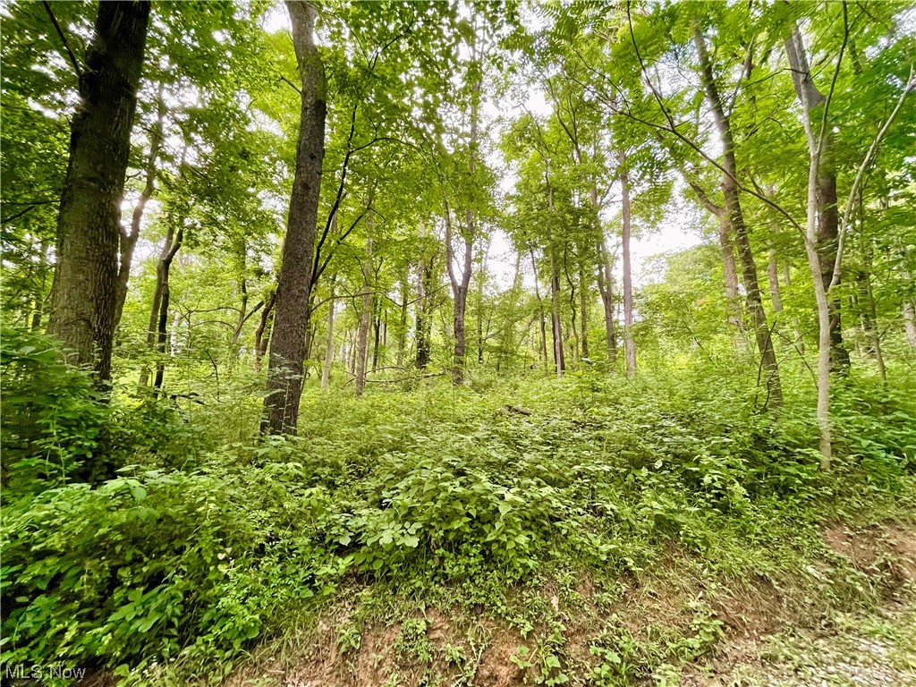 91 Whitetail Ridge Wellsburg, WV 26070 - Photo 5 of 6 Gallery Image 5