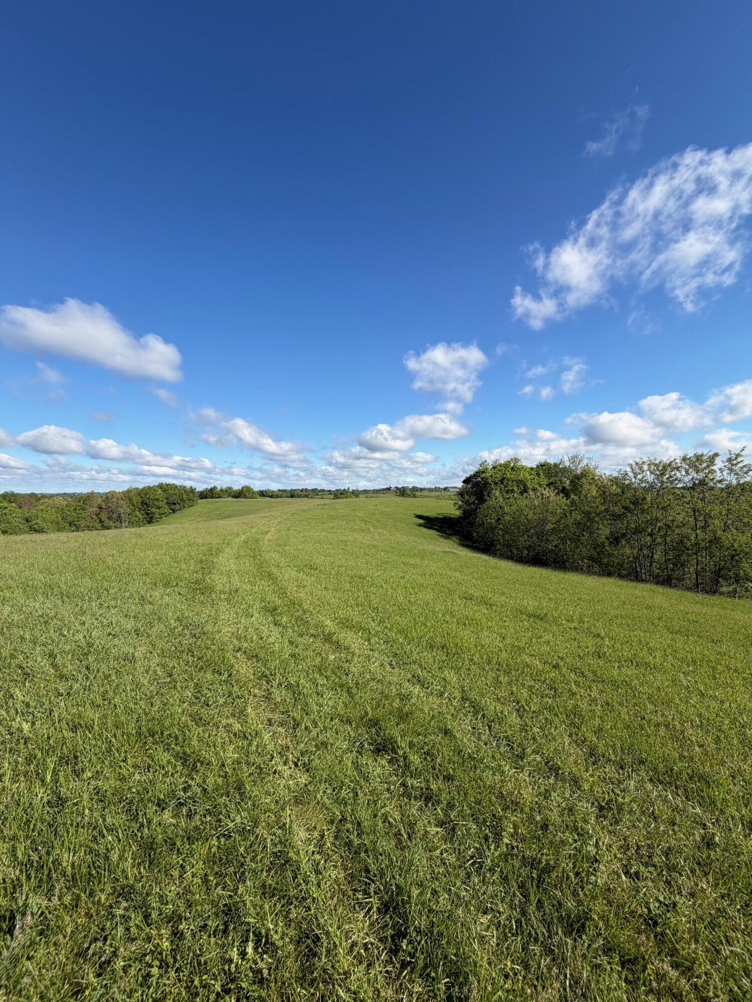 32.28-ac Chipman Ridge Road Williamstown, KY 41097 - Photo 2 of 13