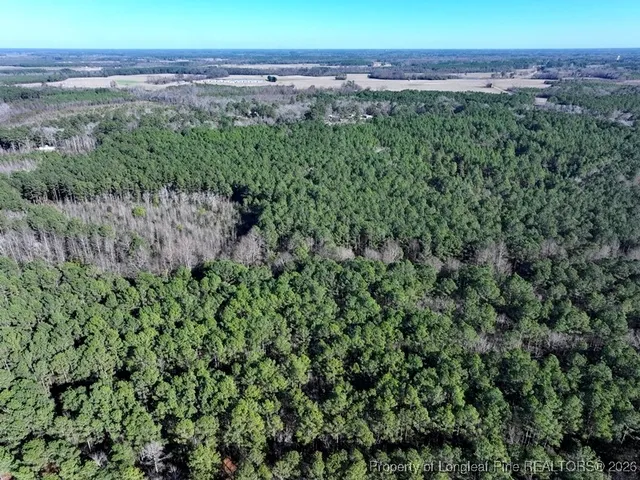 $85,000 | 130 Hwy Fairmont Nc 28340 Highway, Rowland, NC 28383