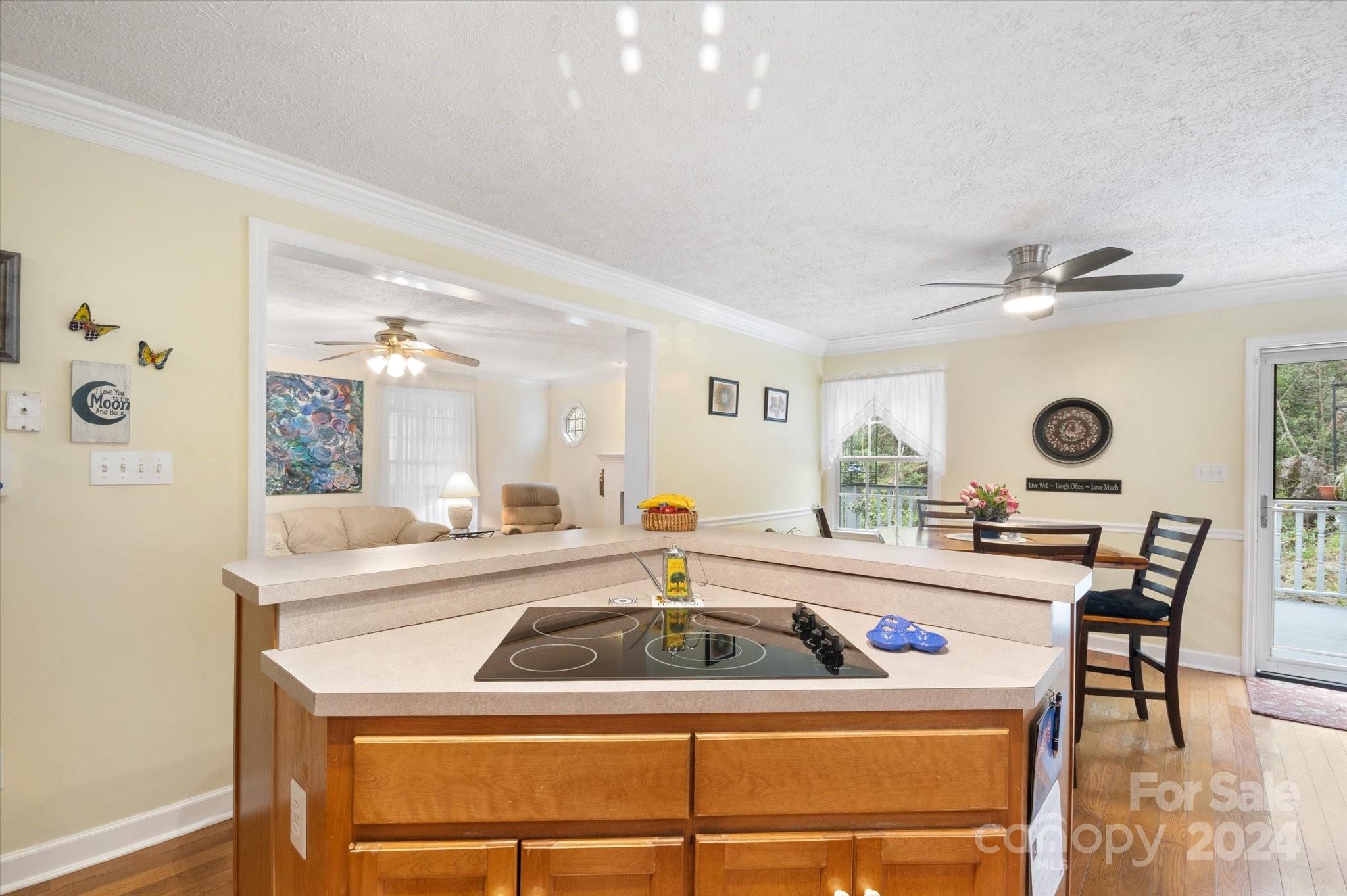 310 Long Branch Road Swannanoa, NC 28778 - Photo 12 of 43 Gallery Image 12