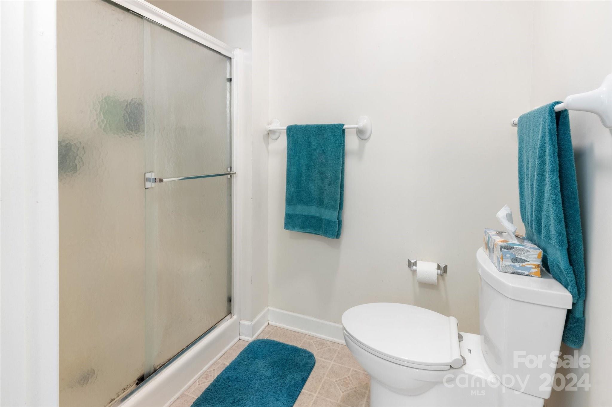 310 Long Branch Road Swannanoa, NC 28778 - Photo 20 of 43 Gallery Image 20