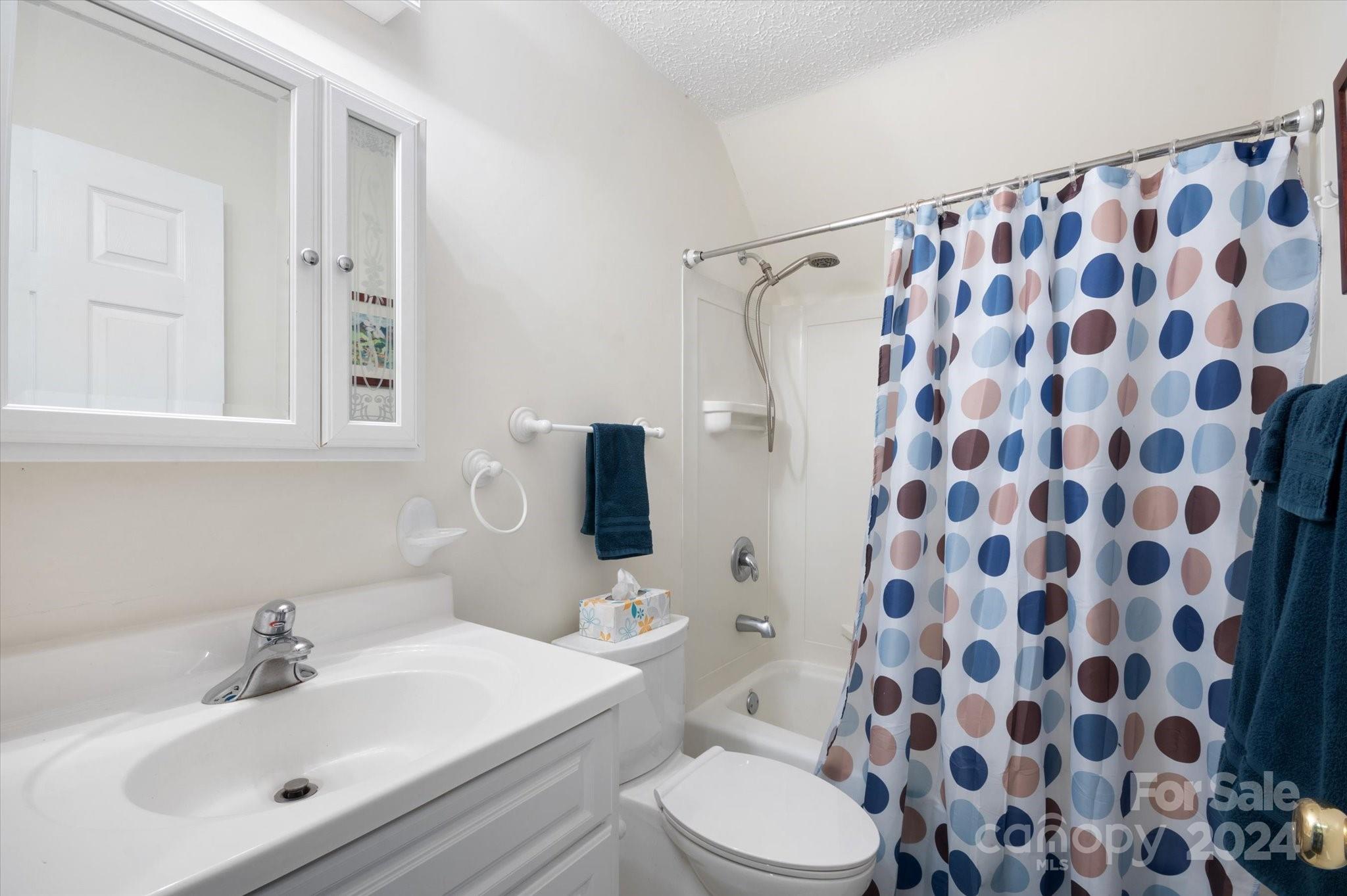 310 Long Branch Road Swannanoa, NC 28778 - Photo 29 of 43 Gallery Image 29