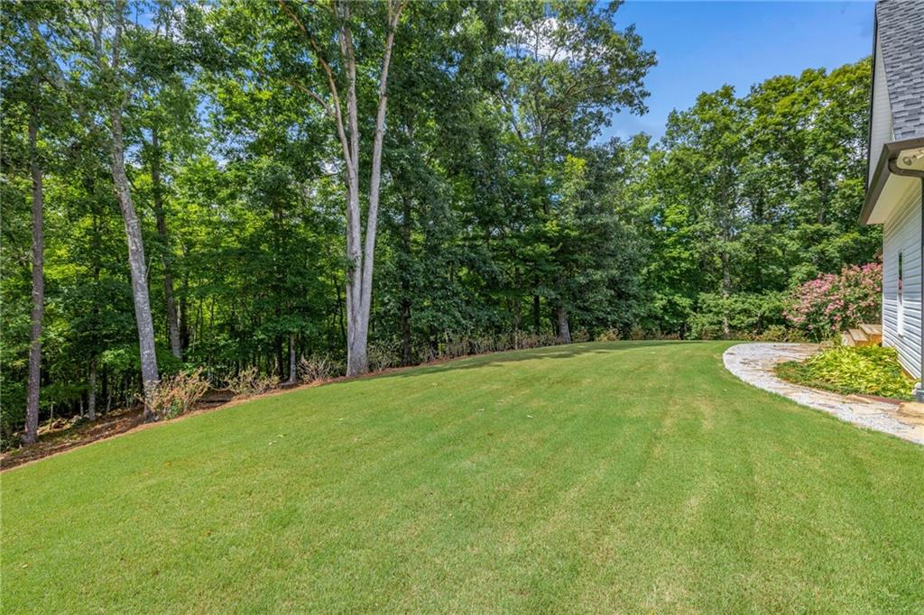 7913 Pea Ridge Road Lula, GA 30554 - Photo 42 of 51 a view of a yard with a trees