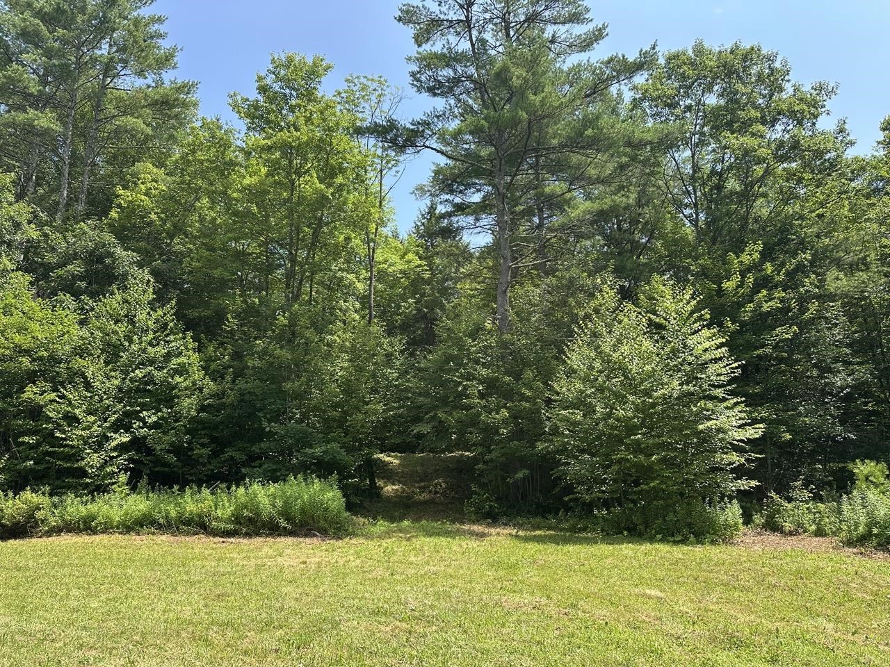 0 Vt Route 103, Unit LOT 3 Chester, VT 05143 - Photo 12 of 60
