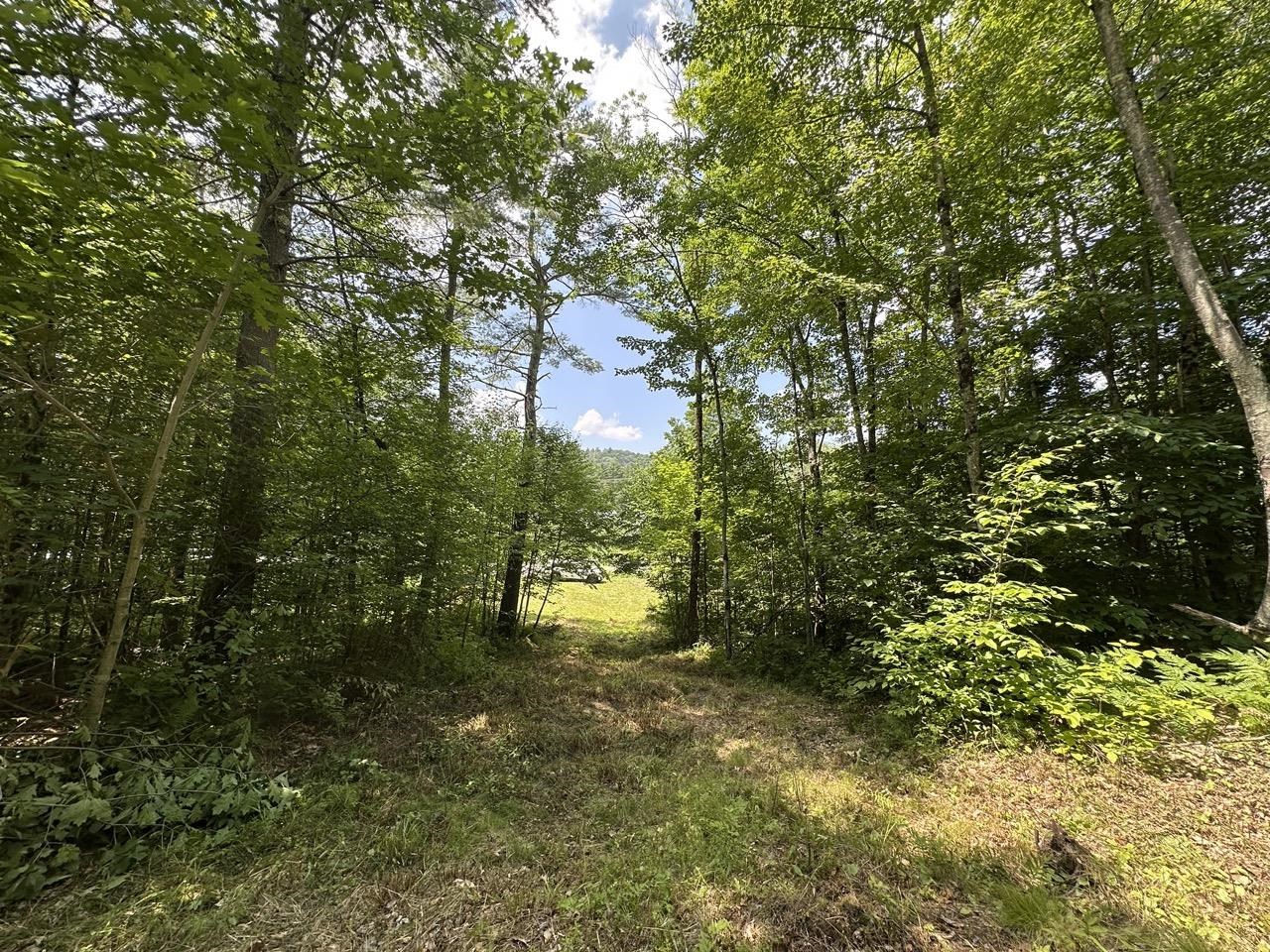 0 Vt Route 103, Unit LOT 3 Chester, VT 05143 - Photo 16 of 60