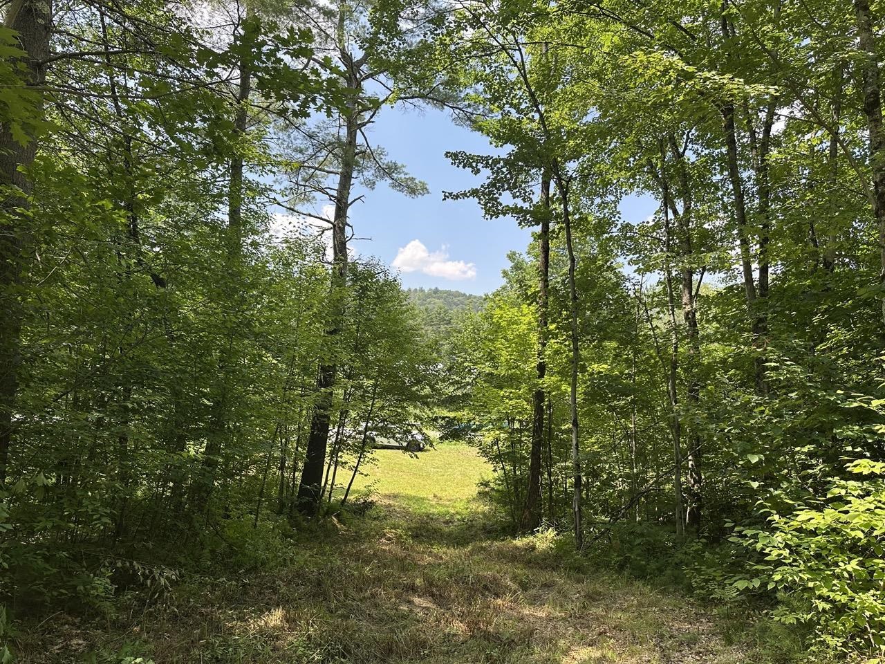 0 Vt Route 103, Unit LOT 3 Chester, VT 05143 - Photo 17 of 60