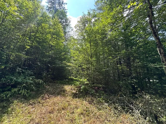 $115,000 | 0 Vt Route 103, Unit LOT 3, Chester, VT 05143