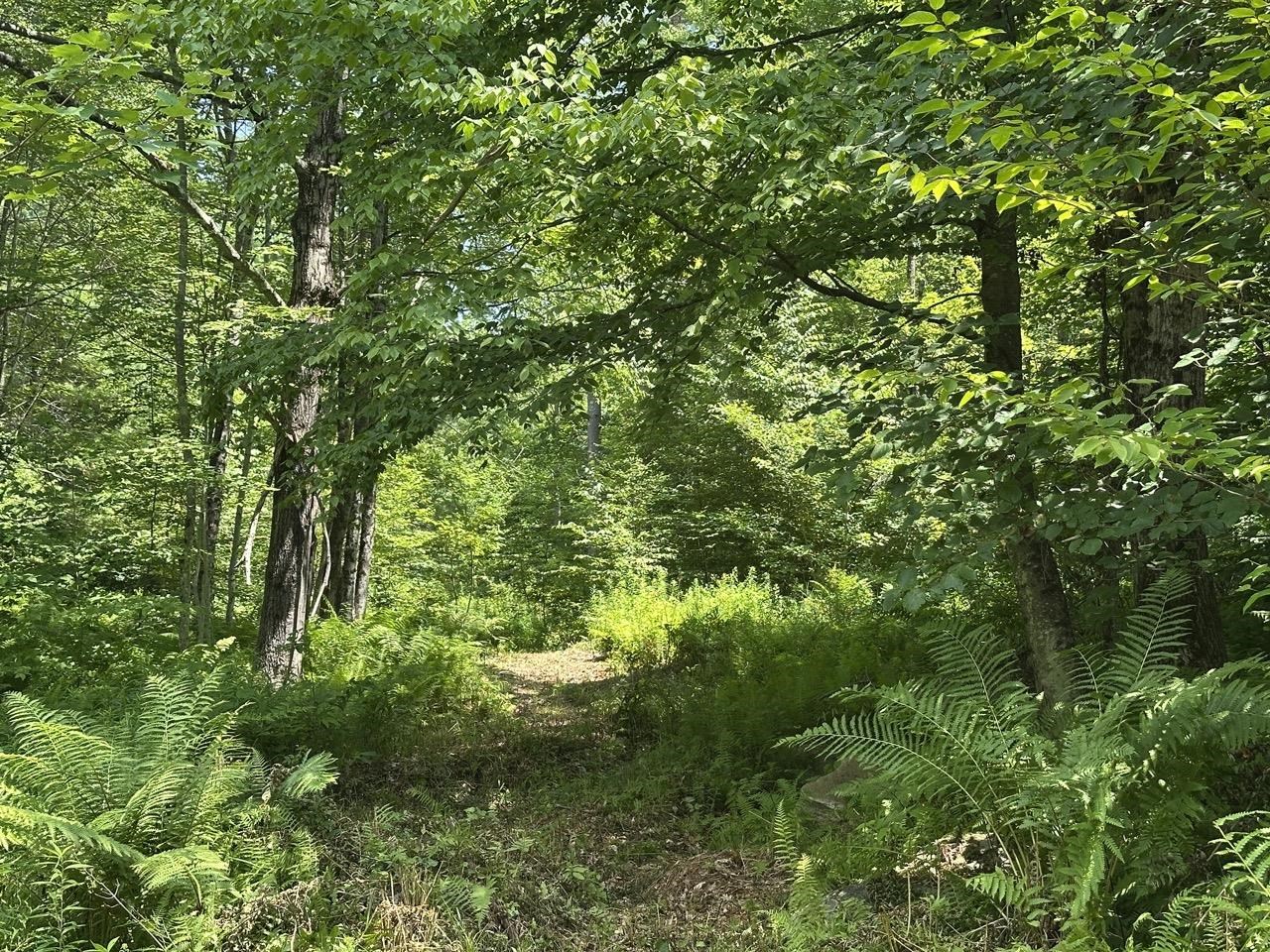 0 Vt Route 103, Unit LOT 3 Chester, VT 05143 - Photo 21 of 60