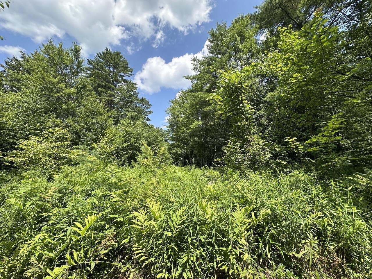 0 Vt Route 103, Unit LOT 3 Chester, VT 05143 - Photo 22 of 60