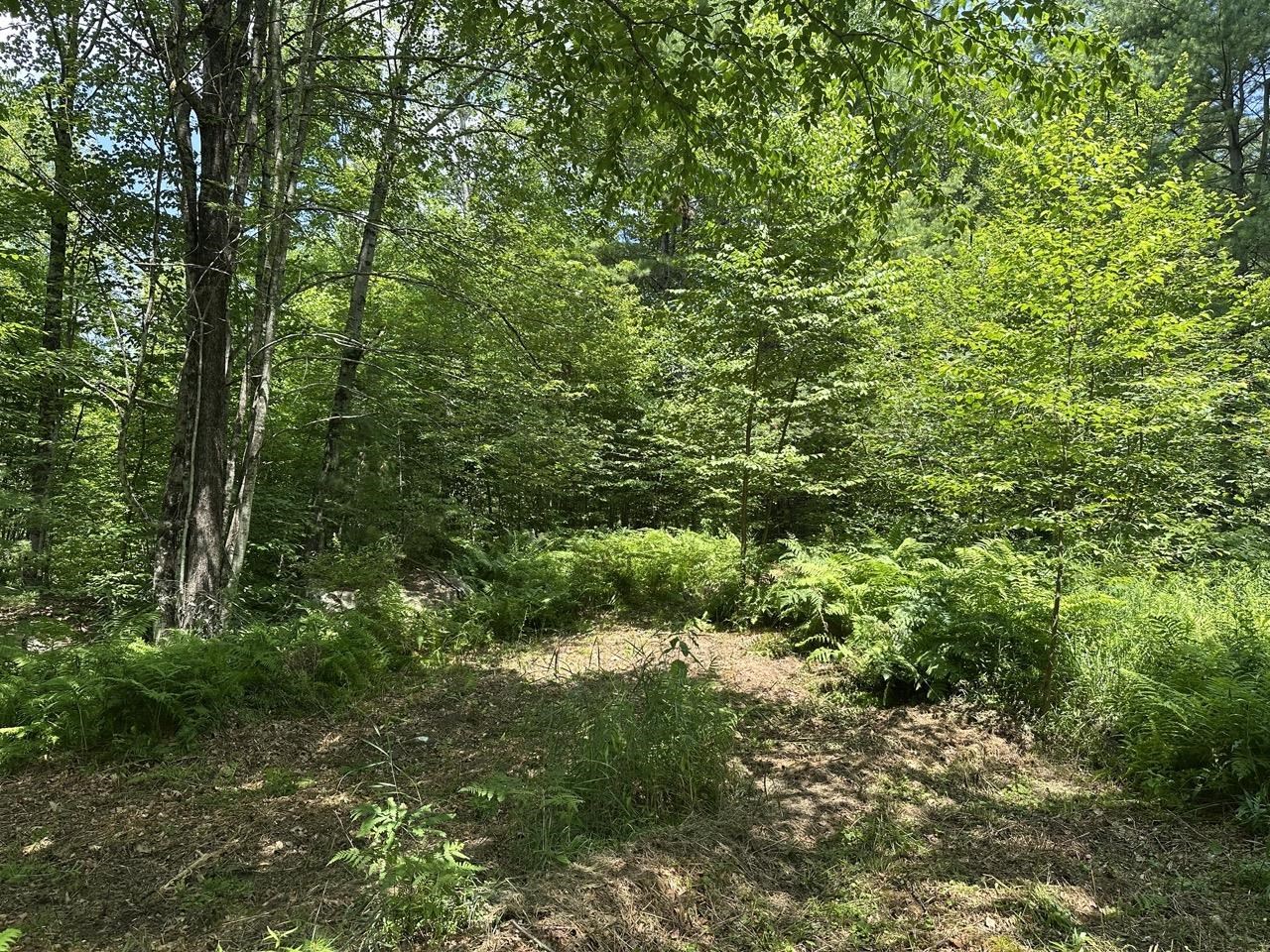 0 Vt Route 103, Unit LOT 3 Chester, VT 05143 - Photo 24 of 60