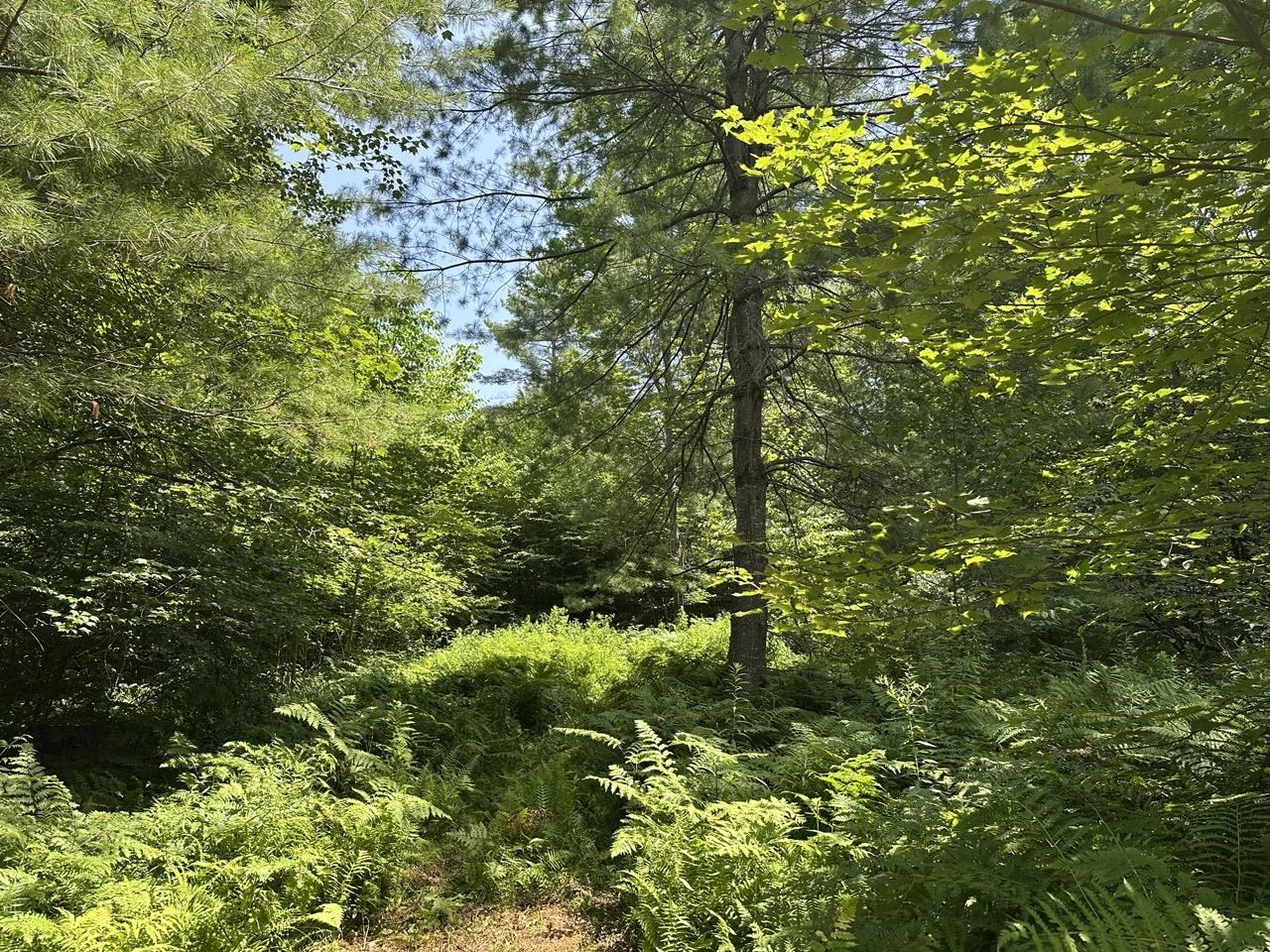0 Vt Route 103, Unit LOT 3 Chester, VT 05143 - Photo 26 of 60