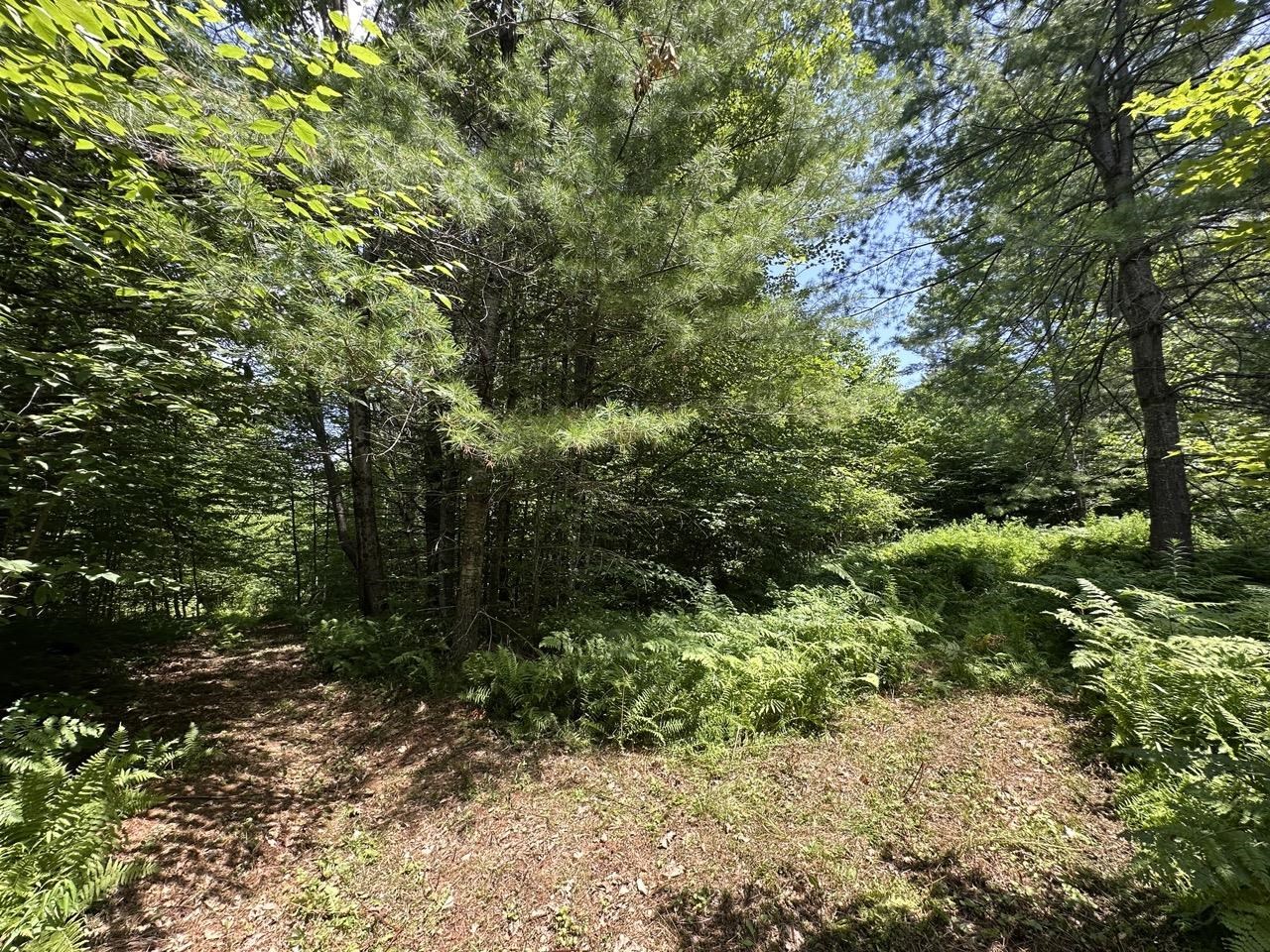 0 Vt Route 103, Unit LOT 3 Chester, VT 05143 - Photo 29 of 60