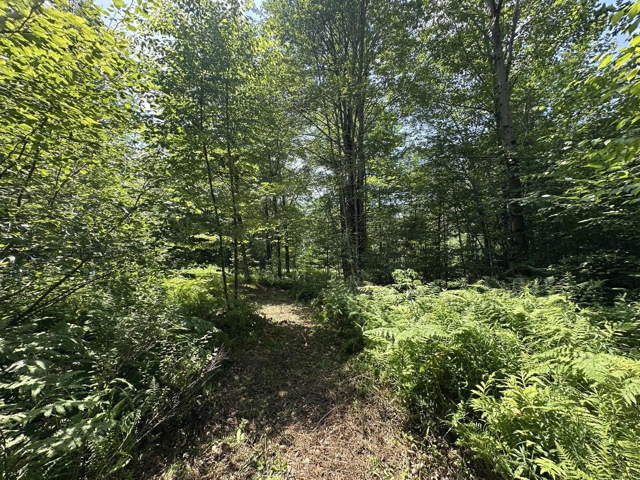 0 Vt Route 103, Unit LOT 3 Chester, VT 05143 - Photo 30 of 60
