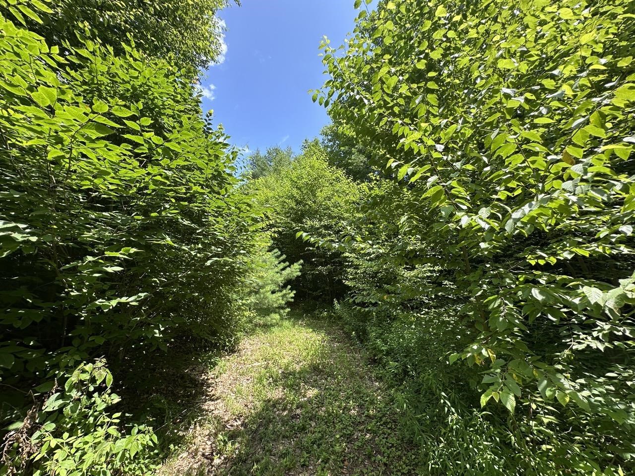 0 Vt Route 103, Unit LOT 3 Chester, VT 05143 - Photo 32 of 60
