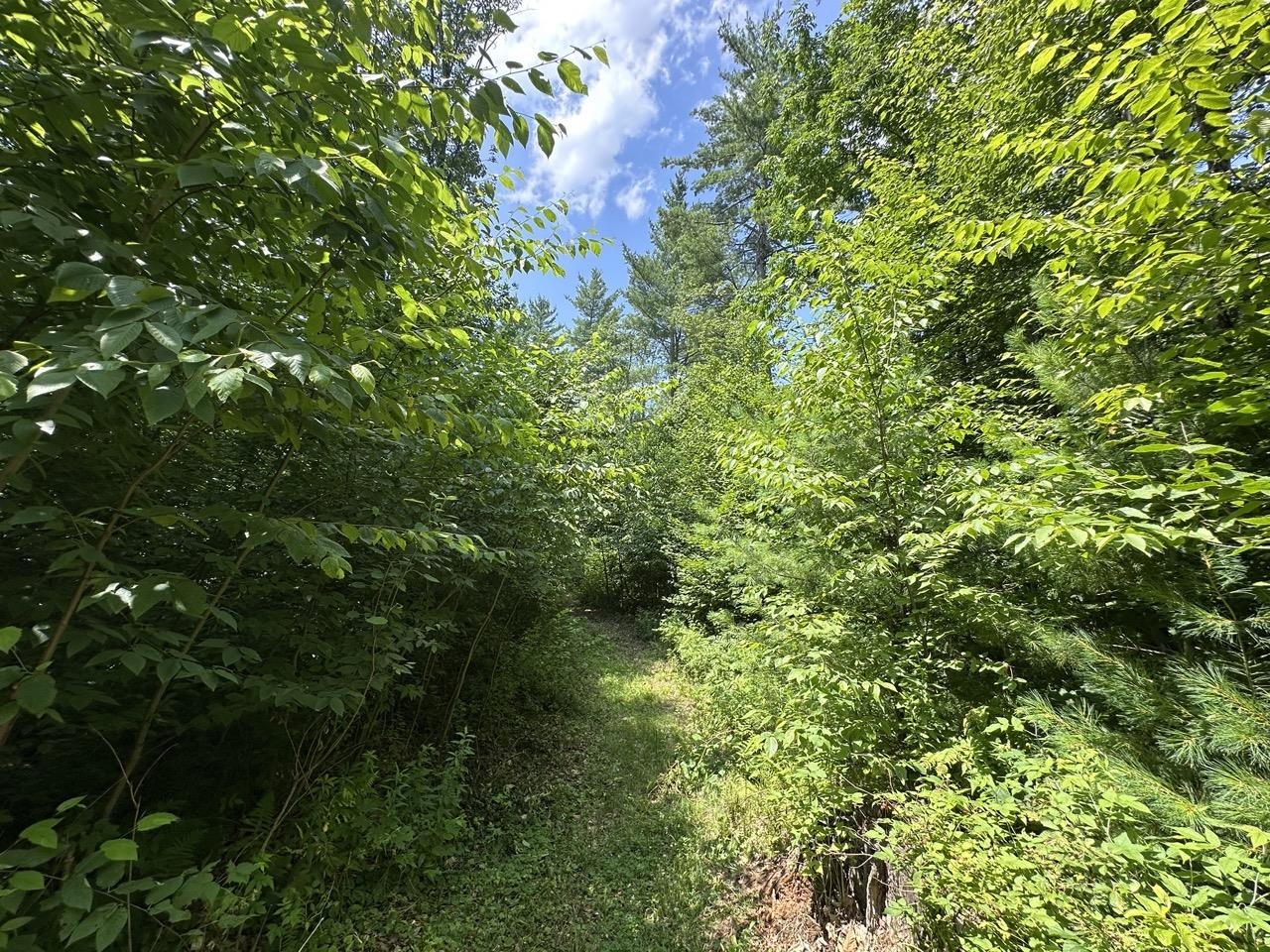 0 Vt Route 103, Unit LOT 3 Chester, VT 05143 - Photo 33 of 60
