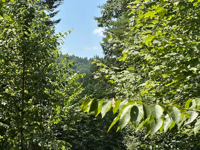 $115,000 | 0 Vt Route 103, Unit LOT 3, Chester, VT 05143